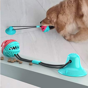 The Nifty Pull Toy